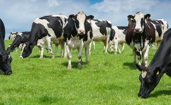 Riding out milk price volatility