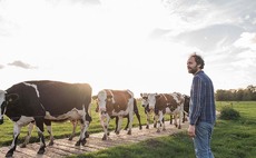 Dairy harnesses heat from cow muck to produce energy on-farm