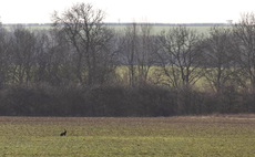 Train route puts 'model ELMs' farm under threat