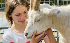 24 Hours in Farming: Meet the farmers and city farms educating the masses about agriculture 