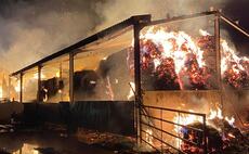 Shropshire firefighters confirm over 15 farm animals killed in barn blaze