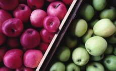 Apple and pear industry on 'knife edge'