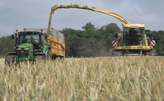 Growing the best wholecrop