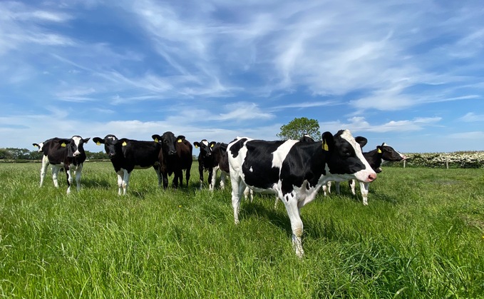 Summer showers raise lungworm risk