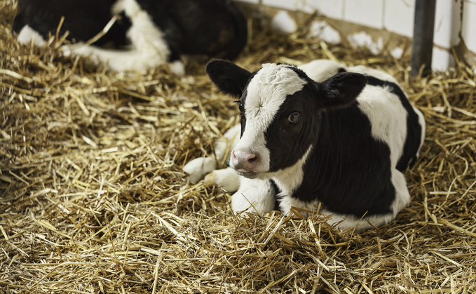 Farmers are being urged to sign up to the Cattle Well-being Pledge