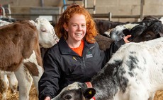 In your field: Amy Wilkinson - 'Harvest proved to be a bumper crop, with yields up and better conditions'