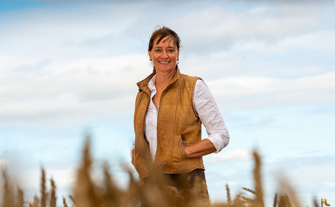 Talking Agronomy with Jo Bell: Some winter varieties drilled late into February even outperformed spring wheat