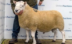 North Country Cheviot Hill record smashed at Lairg