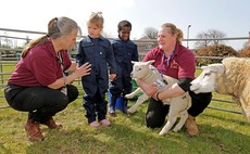 Schoolchildren learn valuable farming lessons