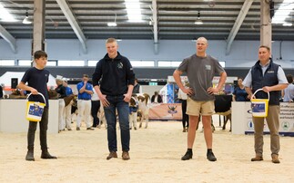 Holstein young breeders shave hair for charity   