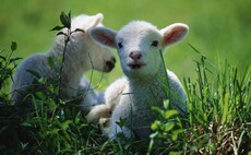 Schoolchildren to learn about science of farming