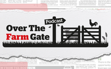 Over The Farm Gate Podcast: Dog attacks causing misery for sheep farmers