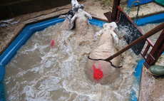 Updates to Mobile Sheep Dipping Code of Practice 