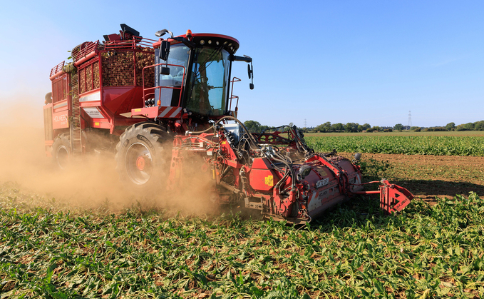 Early beet announcement 'far too late'