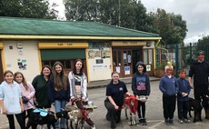 The importance of inclusion in diversification at a farm in Swansea