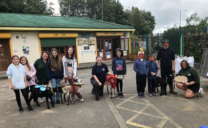 Swansea Community aims to make farming more accessible and inclusive to everyone