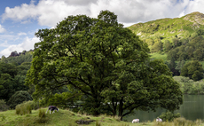 Collaboration critical to success of Landscape Recovery Scheme