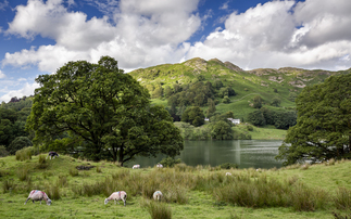 Collaboration critical to success of Landscape Recovery Scheme