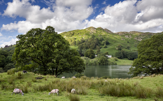 Collaboration critical to success of Landscape Recovery Scheme