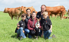 Pabo herd prepares for the cattle ring