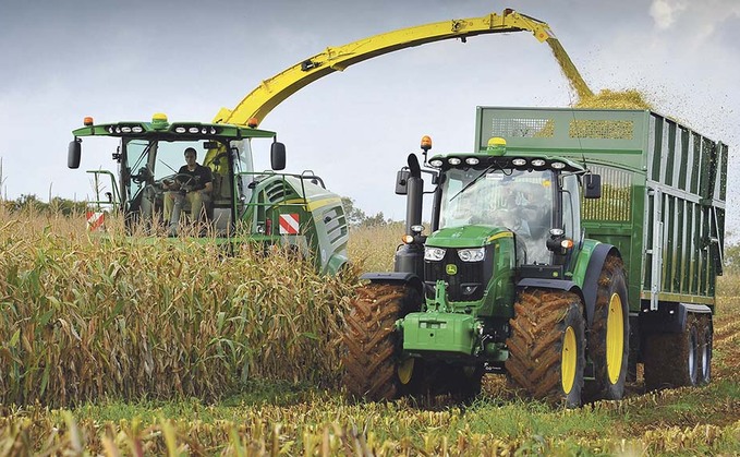 Improving forage through maize