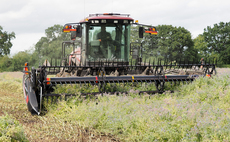 MacDon swather makes light work, cutting niche crop