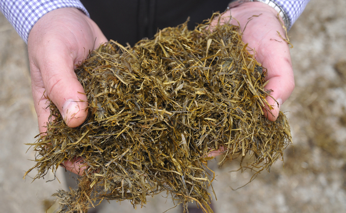 New survey reveals multi-cut grass silage benefits in drought-hit 2022