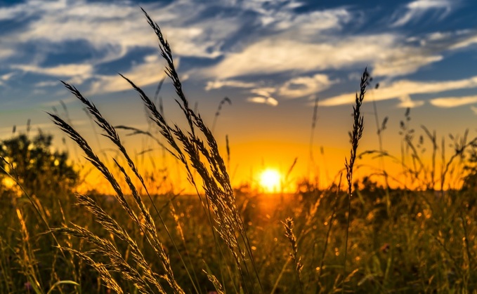 Farmers need to work with nature to help 'turn the tide' 