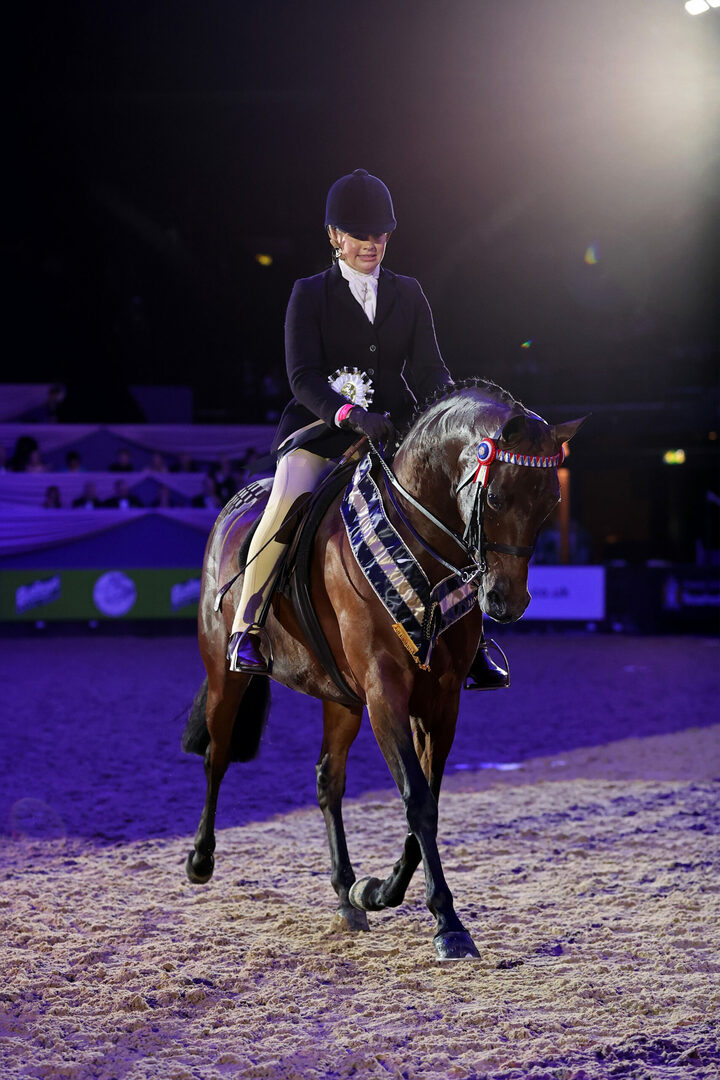 Swan Lake ridden by Sophie Staveley