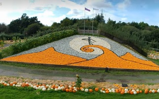 A farm in Hampshire has recreated The Nightmare Before Christmas film poster using pumpkins (Sunnyfields Farm)