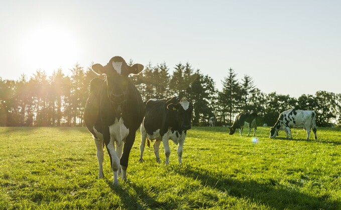 Partner Insight: Improve herd fertility through  treating mastitis cases effectively