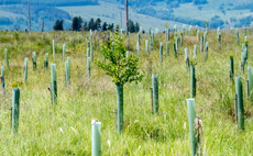 Welsh Government's 10% tree cover target raises 'extreme concerns'