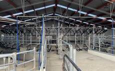 Waikato Milking Systems