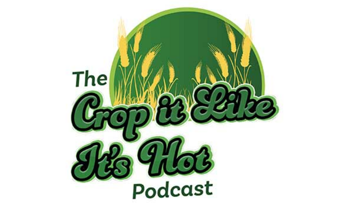 Podcast: What does risk and resilience mean for three arable businesses?