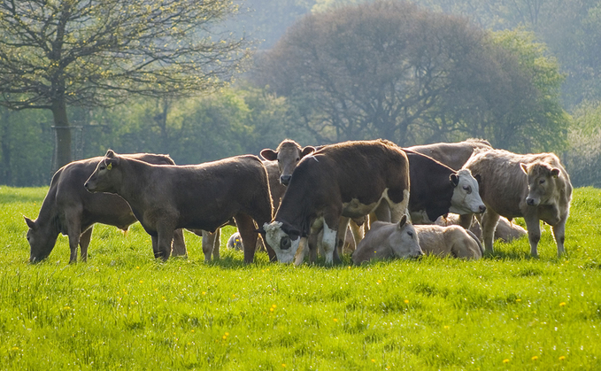 Parasite watch - Planning for parasite control