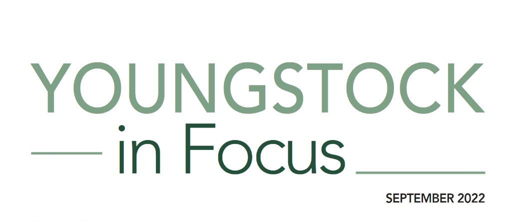 YoungStock Toolkit